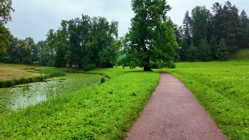 Beautiful park. Rainy day. Slowmotion