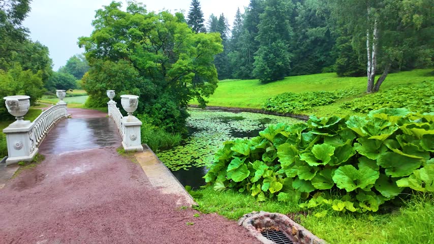 Beautiful park. Rainy day. Slowmotion