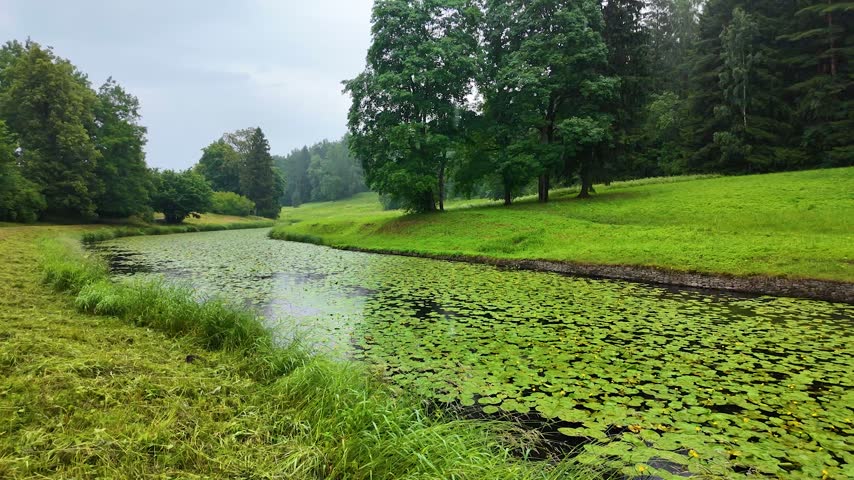 Beautiful park. Rainy day. Slowmotion