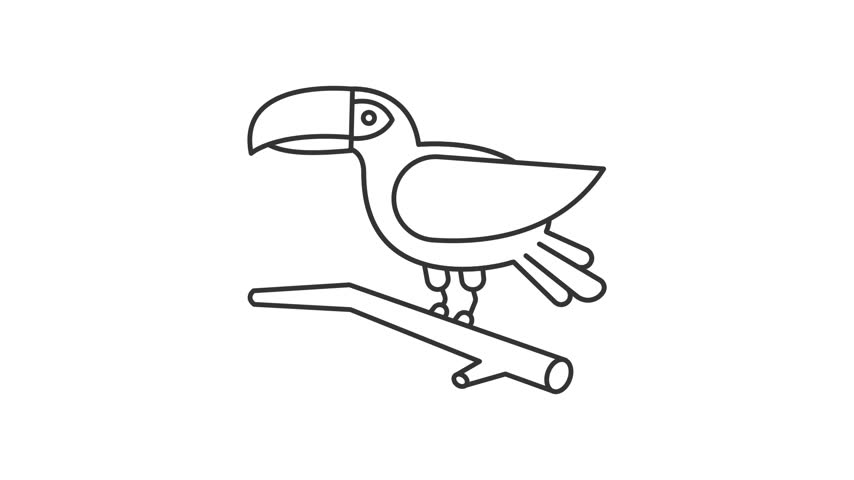 Animated toucan opening beak outline icon. Tropical forest fauna animation. Colorful exotic bird sitting on tree branch. Wildlife beauty. Flat line motion graphic loop on transparent white
