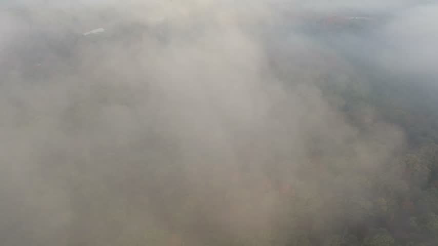 Early autumn forest canopy gradually emerging through thick white morning fog in a descending aerial shot over rural Oklahoma.