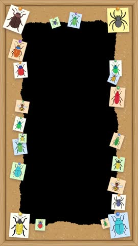 Animated vertical corkboard border features fluttering pinned insect notes around a central cutout area.