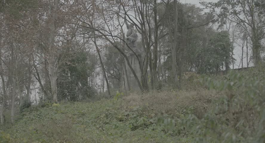A wide view shows winter trees and shrubs on the hillside. Professional 4K Log footage with a flat color profile for color grading.
