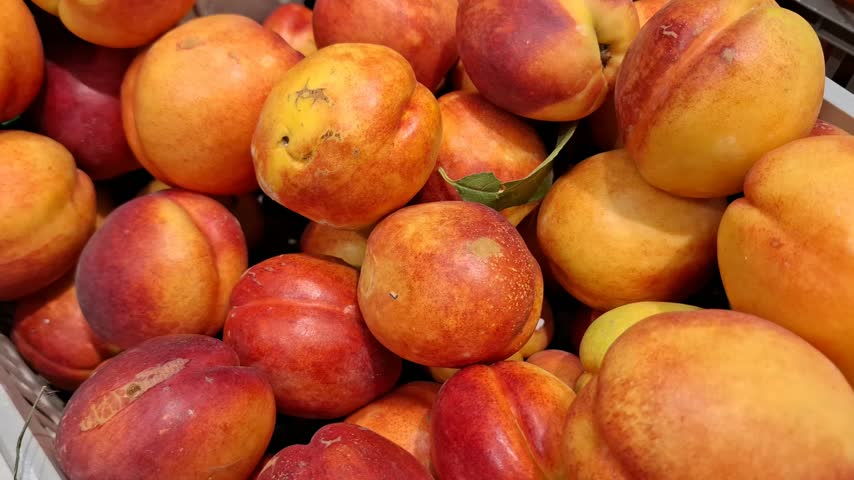 Ripe nectarines piled in a crate in close view, stone fruit, summer harvest, sweet produce.