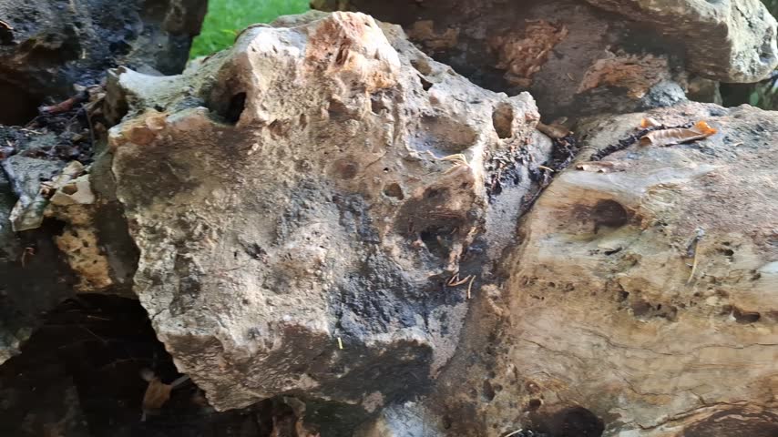 Close up of an old weathered rock structure with rough textured stone surface, natural geological background and outdoor nature concept.
