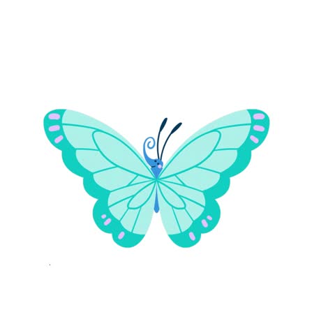 Beautiful turquoise butterfly with patterned wings
