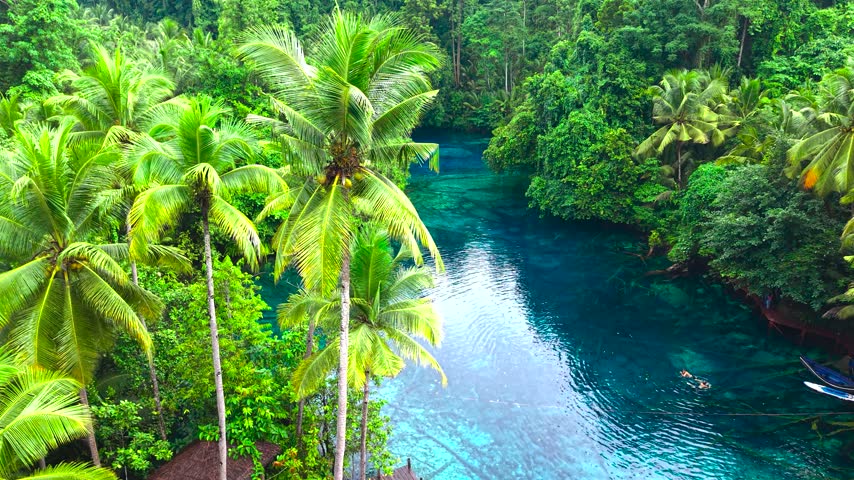Aerial view of an adult man in a small boat and people swimming in a clear blue lake among palm trees at Paisupok Lake, Sulawesi, Indonesia.