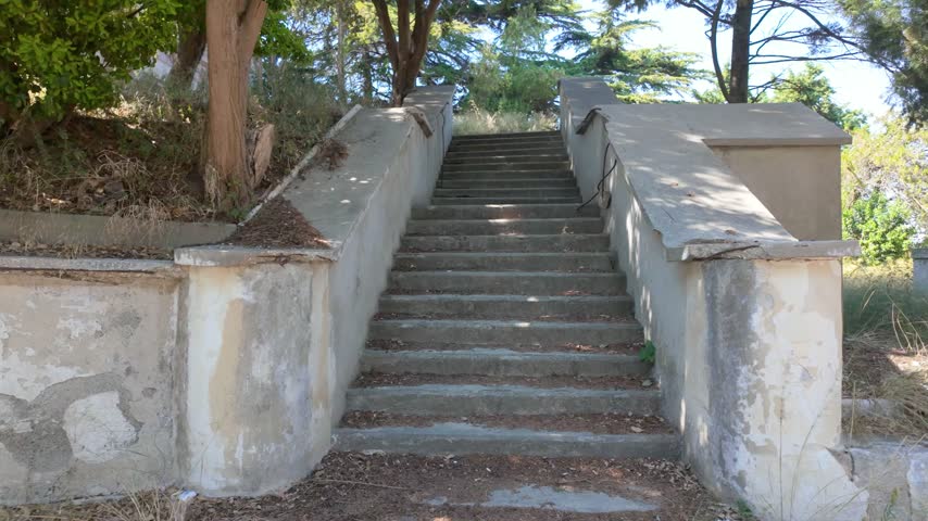 Stone steps and a tilt up to the sky and tree canopies