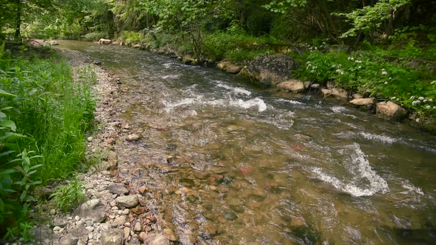 Mountain stream flowing in the forest. Water stream motion in nature. Beautiful wild natural environment, wilderness ecology background.