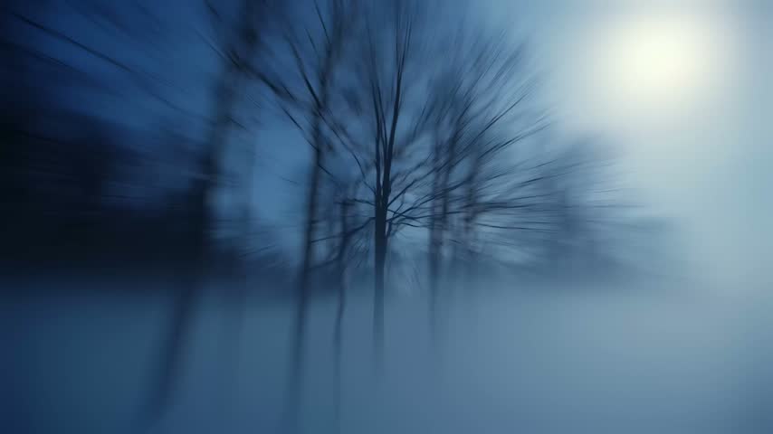 A serene and atmospheric view of a forest shrouded in mist with sunlight filtering through the branches of leafless trees.