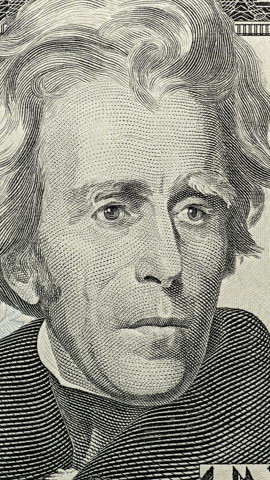 Andrew Jackson dollar portrait with moving green light. U.S. dollar portrait of Andrew Jackson receives slow green sweep from above. Banknote face changes tone in security image effect with calm, controlled look.