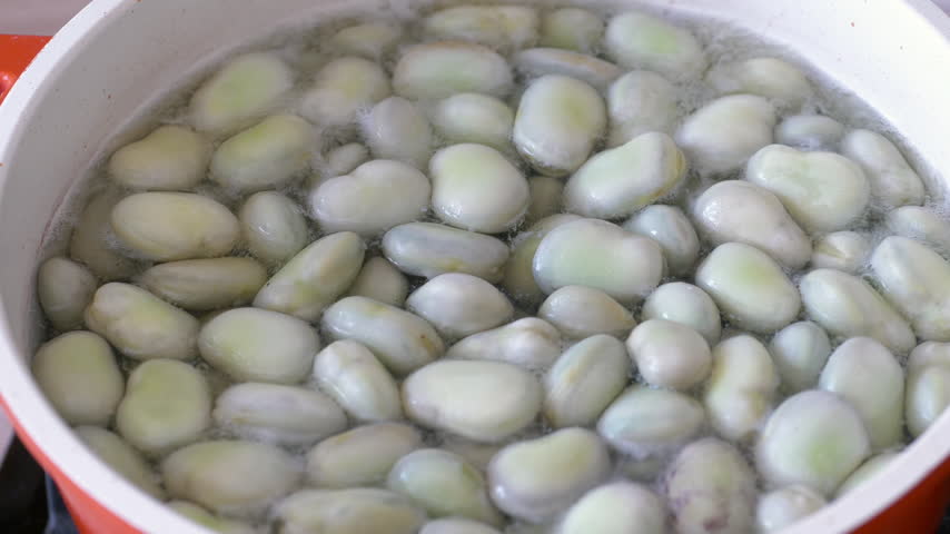 Cooking fava beans in water. Fava beans also caled broad beans