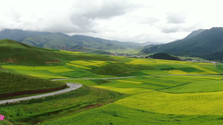 Drone overlooks undulating hill of Qinghai China,yellow green farmland spread like terraces,thin mountain path shuttle between color block farmland