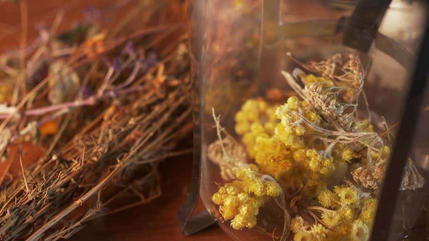 Close-up shot of dried yellow flowers and organic herbs inside a glass french press teapot placed on a wooden table. Warm natural sunlight creating rich contrast and soft blurred background with dried herbal bunches. Aesthetic footage ideal for herbal tea branding, phytotherapy, natural medicine, wellness lifestyle, and cozy autumn atmosphere.