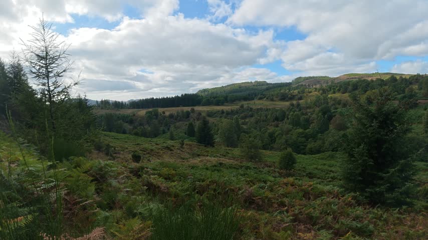 Scotland – October 2, 2026: An expansive panoramic view capturing the rugged hillside terrain, rolling uplands, and native woodlands of Perthshire in the Scottish Highlands. The natural rural landscape features dense clusters of purple and green heather, scattered pine and deciduous trees, exposed rock outcrops, and sloping grassy ground surfaces extending toward distant valleys under an open daytime sky.