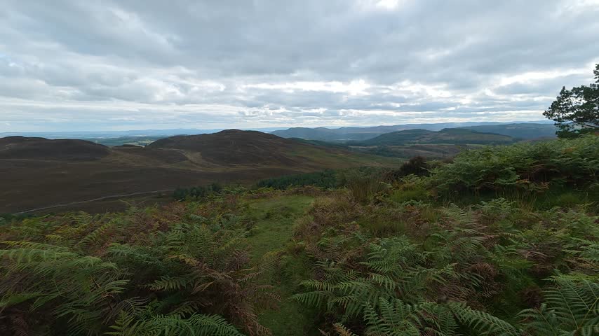 Scotland – October 2, 2026: An expansive panoramic view capturing the rugged hillside terrain, rolling uplands, and native woodlands of Perthshire in the Scottish Highlands. The natural rural landscape features dense clusters of purple and green heather, scattered pine and deciduous trees, exposed rock outcrops, and sloping grassy ground surfaces extending toward distant valleys under an open daytime sky.