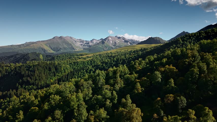 Aerial tracking shot moving forward over a dense green forest canopy. The landscape features rolling hills and distant rocky mountain peaks with snow. Natural daylight illuminates the outdoor terrain.