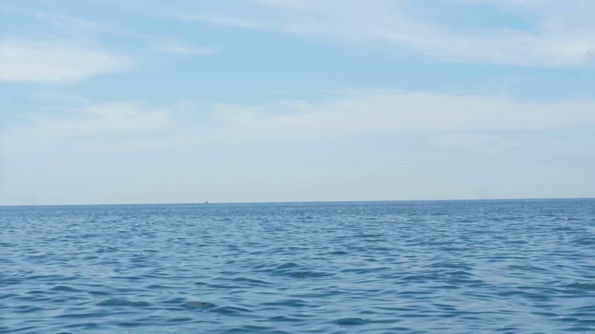 A magnificent humpback whale breaches and leaps out of the sparkling blue ocean water into the bright open air.