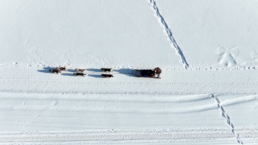 Top-down aerial drone shot of a dog sled team mushing across a snow-covered frozen lake in winter.