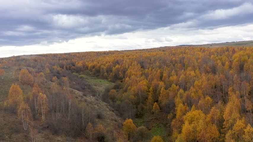 Aerial view of autumn forest canopy
