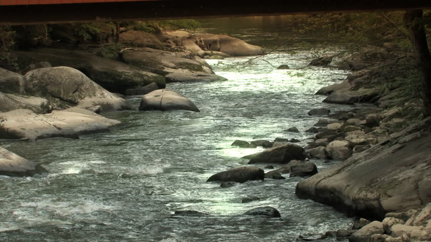 A calm flowing stream in the countryside. 