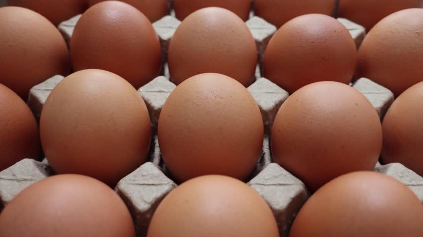 Fresh organic brown chicken eggs in cardboard tray