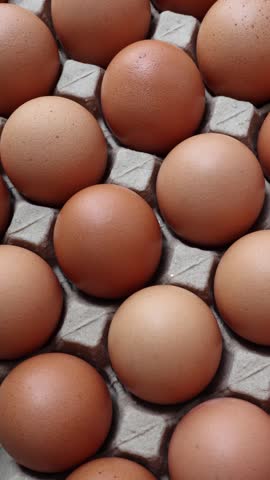 Fresh organic brown chicken eggs in cardboard tray