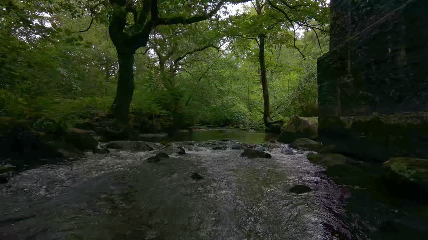 Aerial first-person view (FPV) footage captures a dynamic flight upstream along the Luxulyan River in Cornwall. The camera moves smoothly over the water, showcasing the lush, green forested valley, dense foliage, and rocky riverbed. Sunlight filters through the trees, creating a tranquil atmosphere. This footage highlights the natural beauty and serene environment of the Luxulyan Valley.