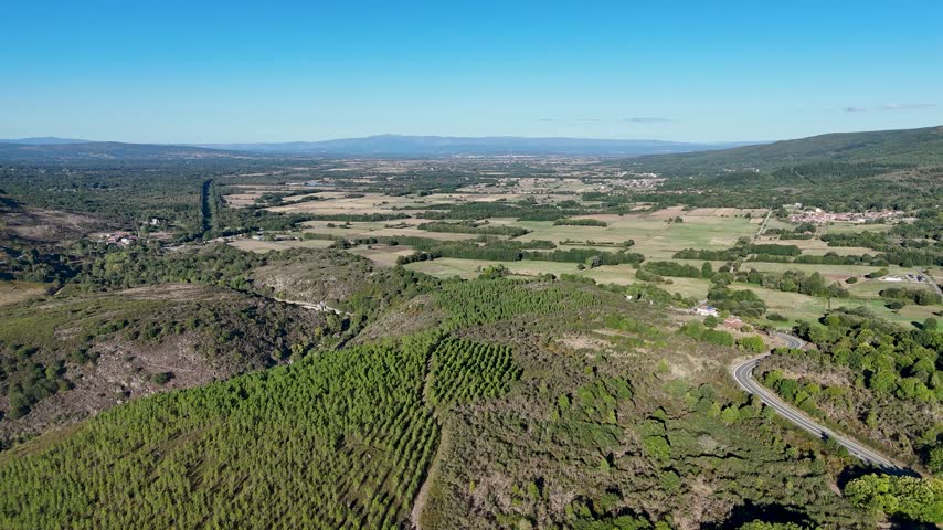 Panoramic aerial footage showing a vast landscape with a pine tree plantation, forests, and rural fields under a clear blue sky