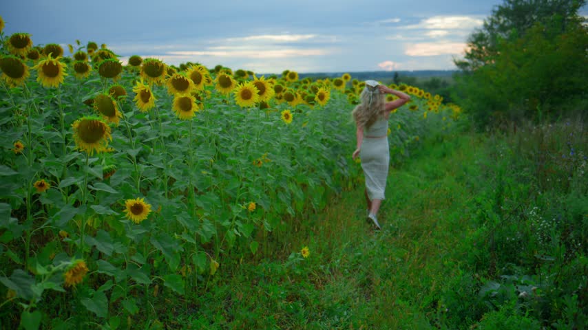Girl walks through a vibrant sunflower field at sunset. She moves gracefully, arms slightly outstretched, enjoying the moment. Sunflowers stretch tall, yellow petals glowing against a soft, cloudy sky