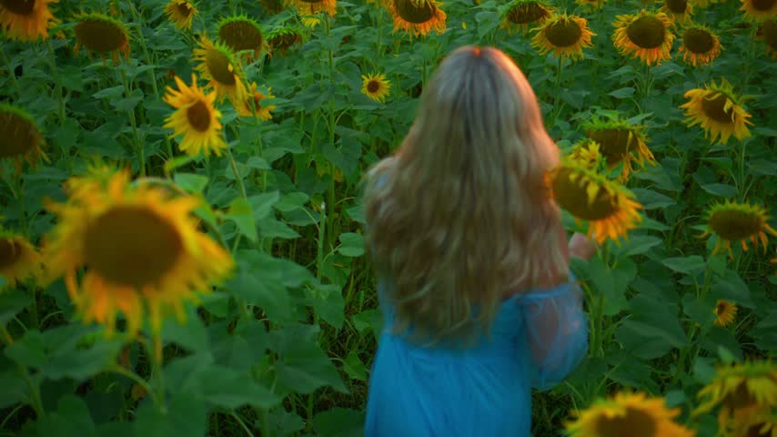 Woman in a blue dress walks through a vibrant sunflower field. Her long blonde hair flows as she moves gently among tall yellow blooms. She appears calm and peaceful, enjoying the warm, golden light
