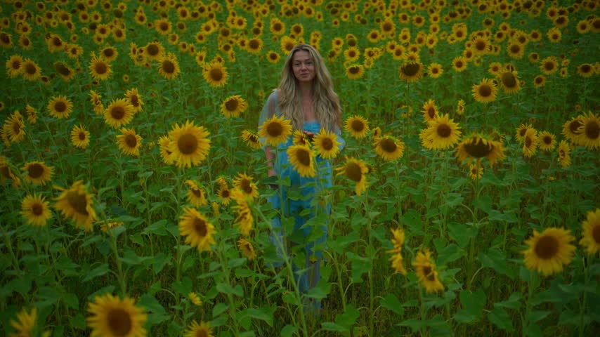 Young woman stands in vast sunflower field. She smiles gently, hands holding sunflower. Sunflowers surround her, golden petals glowing under warm light. Field stretches far into distance