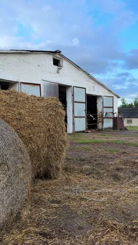 Hay bales are positioned in the foreground with a rustic barn and open doors showing livestock in the background against a blue sky with clouds