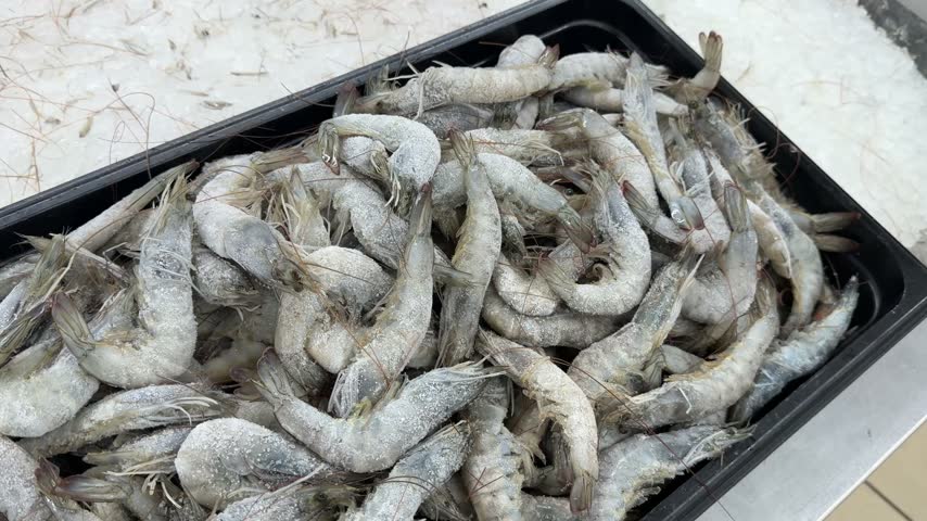 Frozen raw shrimp in black tray on ice