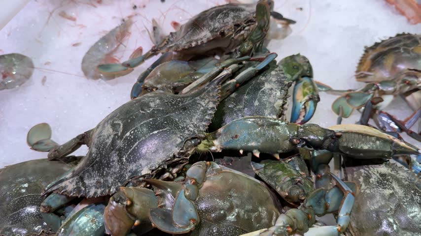 Fresh Blue Crabs on Ice at Seafood Market