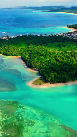 Elevated view of turquoise shallows and palm peninsula, Puerto Rico. Clear water over coral reef, sandy spit, dense green coconut forest and distant bays under a pale sky. Vertical video.