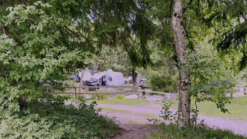 Scenic campsite with caravans, tents, and cars nestled in a lush green forest, outdoor nature travel and vacation leisure