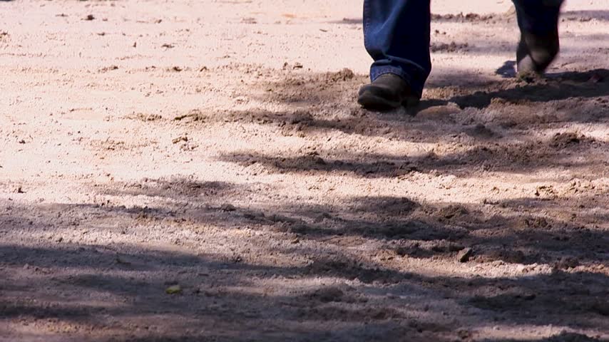 Close up of horse feet walking in the dirt