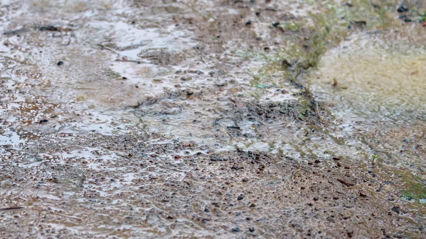 Rain falling on the ground, forming small puddles, with water eroding the soil to reveal small pebbles.