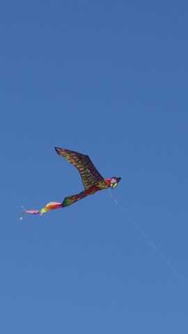 Flying a brightly colored kite in the shape of a parrot against the background of a clear sky