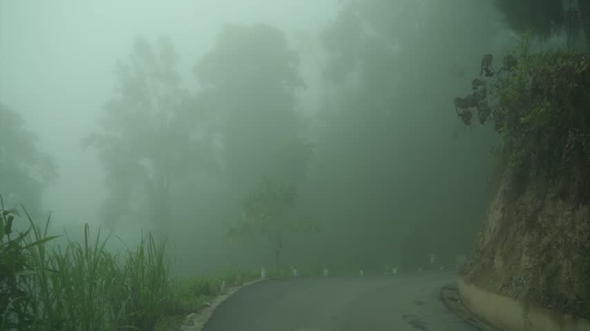 Foggy Morning view in mountain