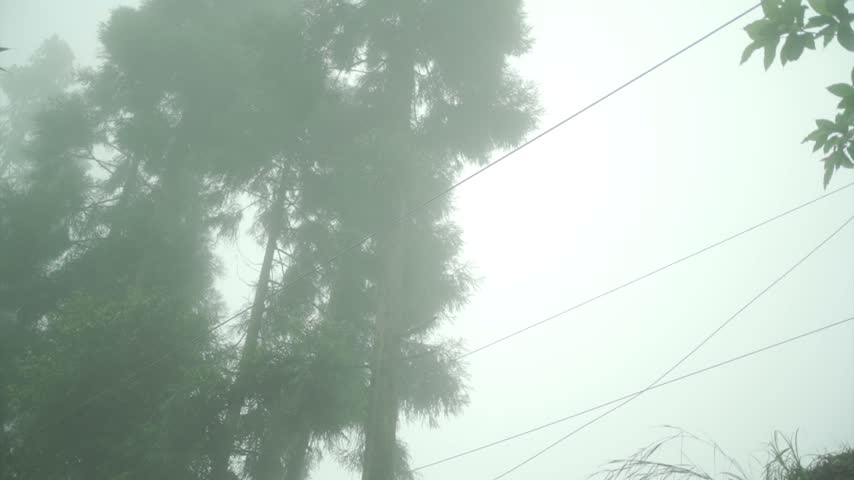 Foggy Morning view in mountain