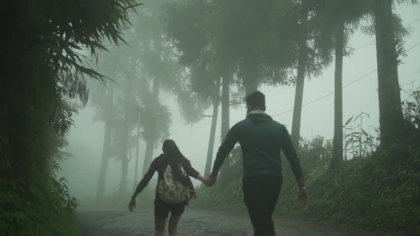 Foggy Morning view in mountain