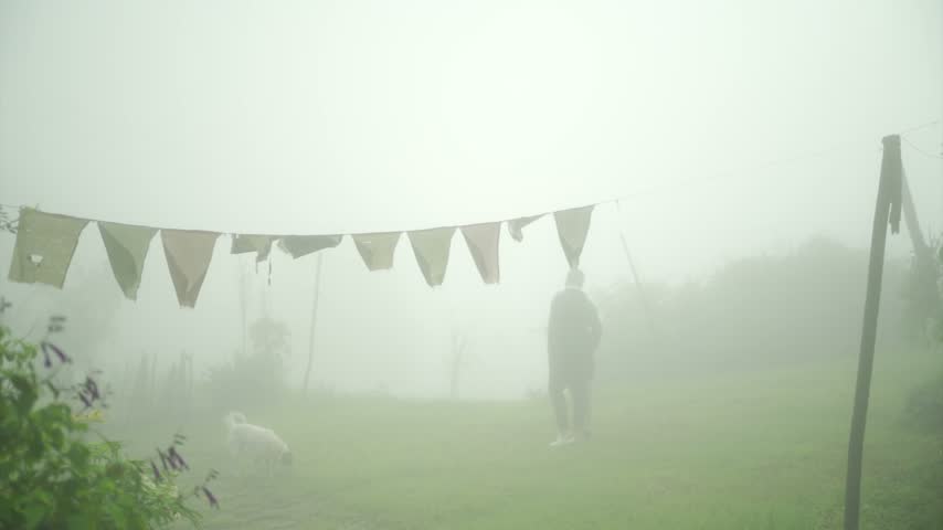 Foggy Morning view in mountain