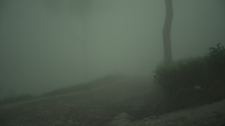  view from the top of the mountain