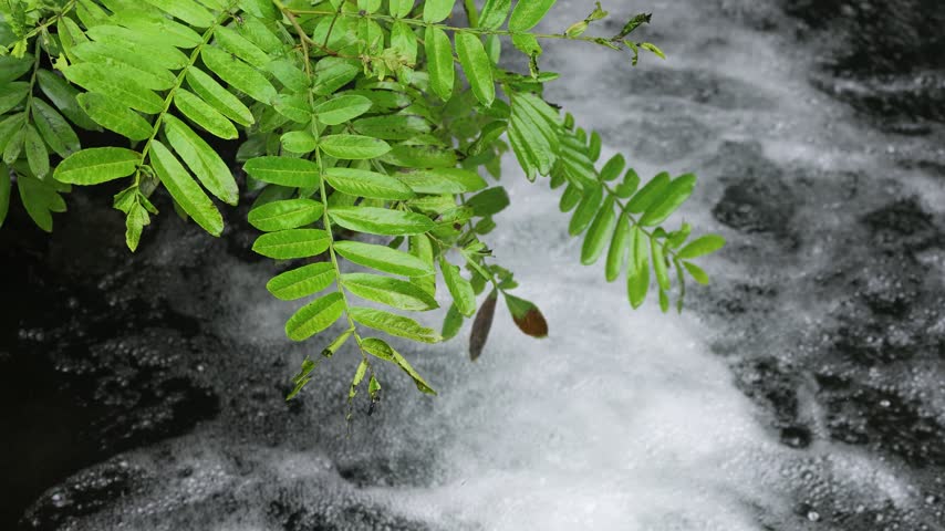 A small creek waterfall with slow-motion flowing water over rocks, surrounded by green forest in Hubei, China. Peaceful nature scene.