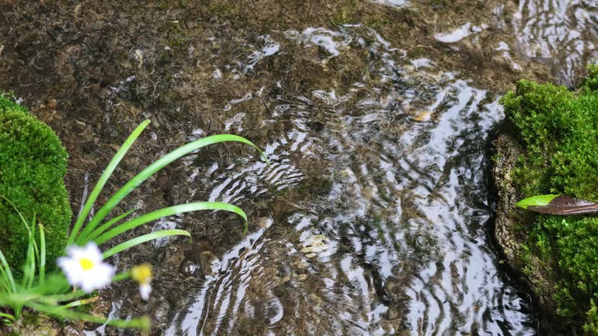 A small creek waterfall with slow-motion flowing water over rocks, surrounded by green forest in Hubei, China. Peaceful nature scene.