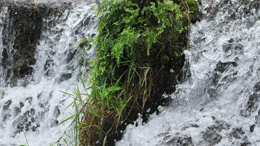 A small creek waterfall with slow-motion flowing water over rocks, surrounded by green forest in Hubei, China. Peaceful nature scene.