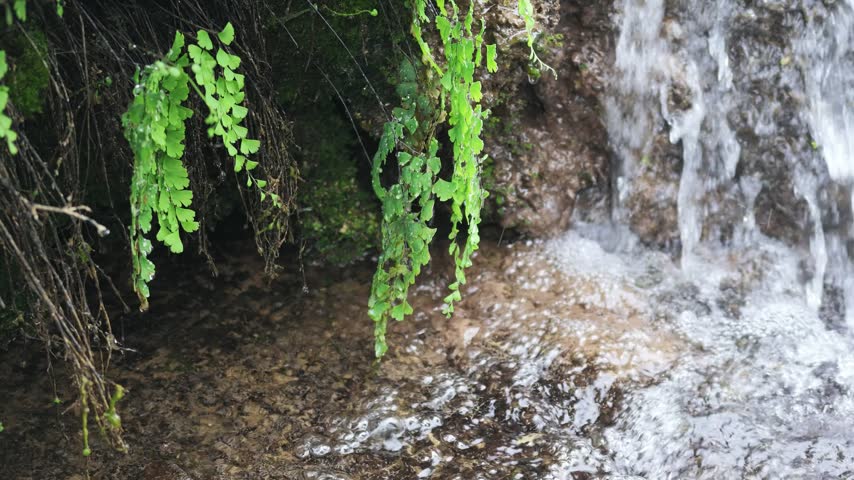 A small creek waterfall with slow-motion flowing water over rocks, surrounded by green forest in Hubei, China. Peaceful nature scene.
