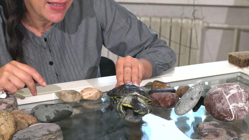 A woman enjoys spending time with a turtle in an aquarium. She gently touches the turtle while surrounded by rocks and water. The setting is bright and inviting.